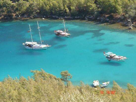 Bodrum’da 216 Yataklı Dev Turizm Projesine ÇED Olumlu Kararı: Yatırım Bedeli 961 Milyon TL’yi Aşıyor 4